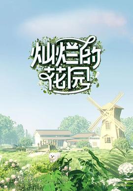 海报背景